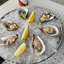 irland rundreise 2025_44